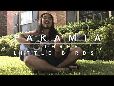 Bob Marley - "Three Little Birds" PAKAMIA Cover