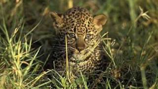 Deep Purple   Money Talks