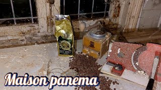 Maison Panema urban exploration video in Belgium: Maison Panema 
