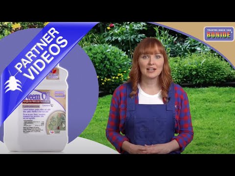  Bonide Neem Oil Concentrate Video 