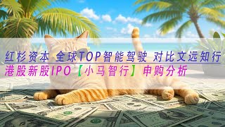 【小马智行】红杉资本 全球TOP智能驾驶 对比文远知行 港股新股IPO 申购及基本面分析