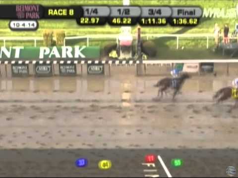2014 Champagne Stakes - Daredevil