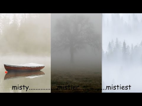 American Sign Language ASL Video Dictionary - mistier