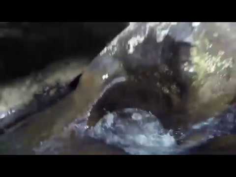 Опасно жить не запретишь