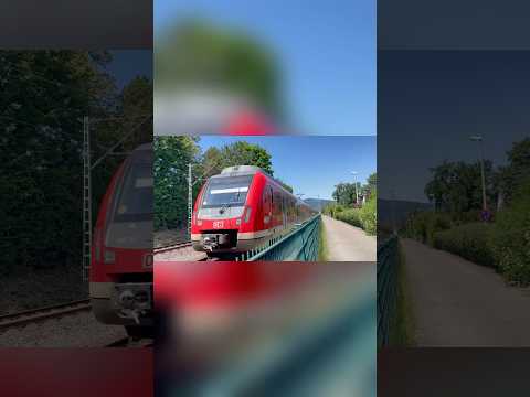 S4 nach Frankfurt Süd im Gegengleis in Niederhöchstadt