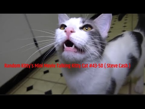 Random Kitty’s Mini Movie Talking Kitty Cat # 43-50 (Read Description)