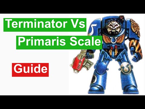 Primaris Terminator scale comparisons
