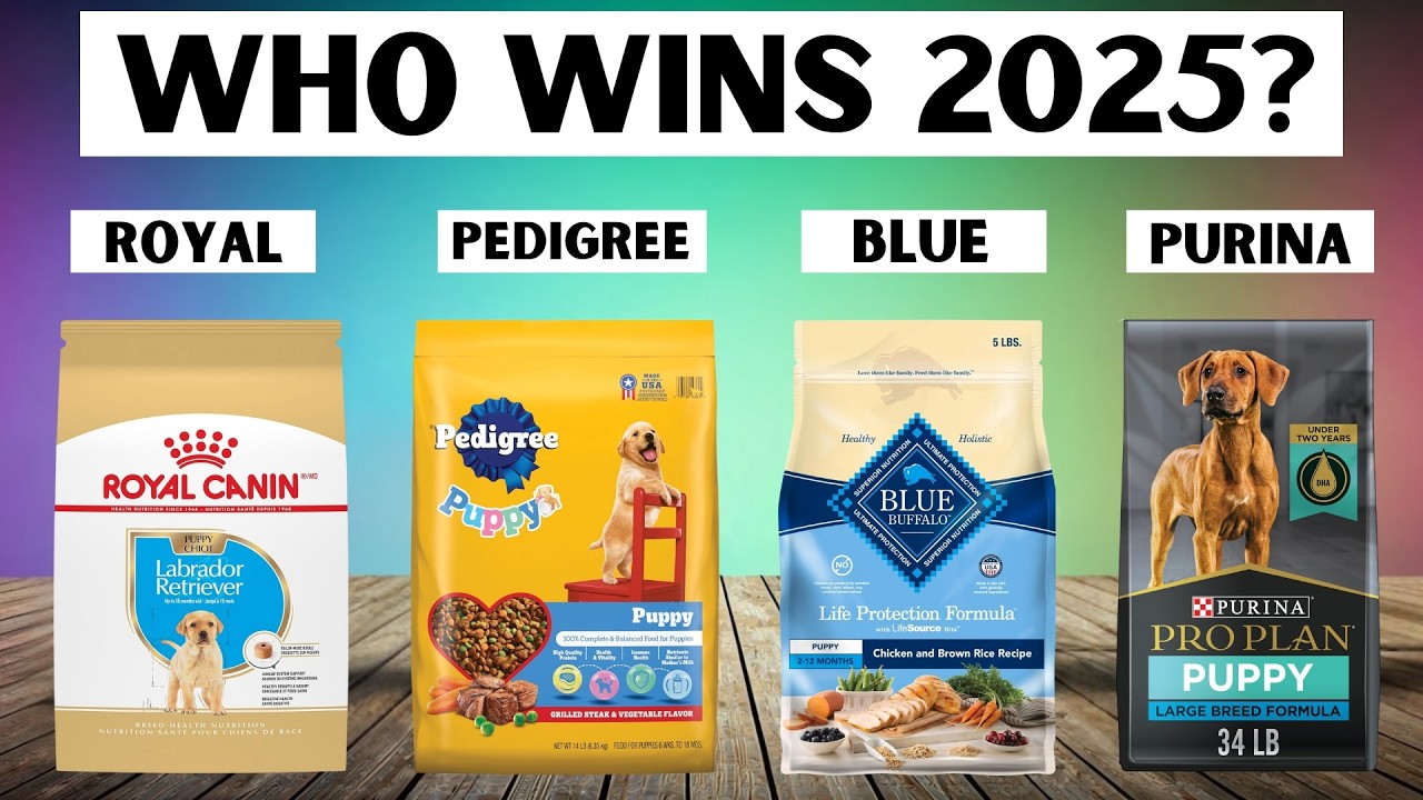 5 Best Puppy Foods 2025 – Best Brands Loved by Dog Owners!