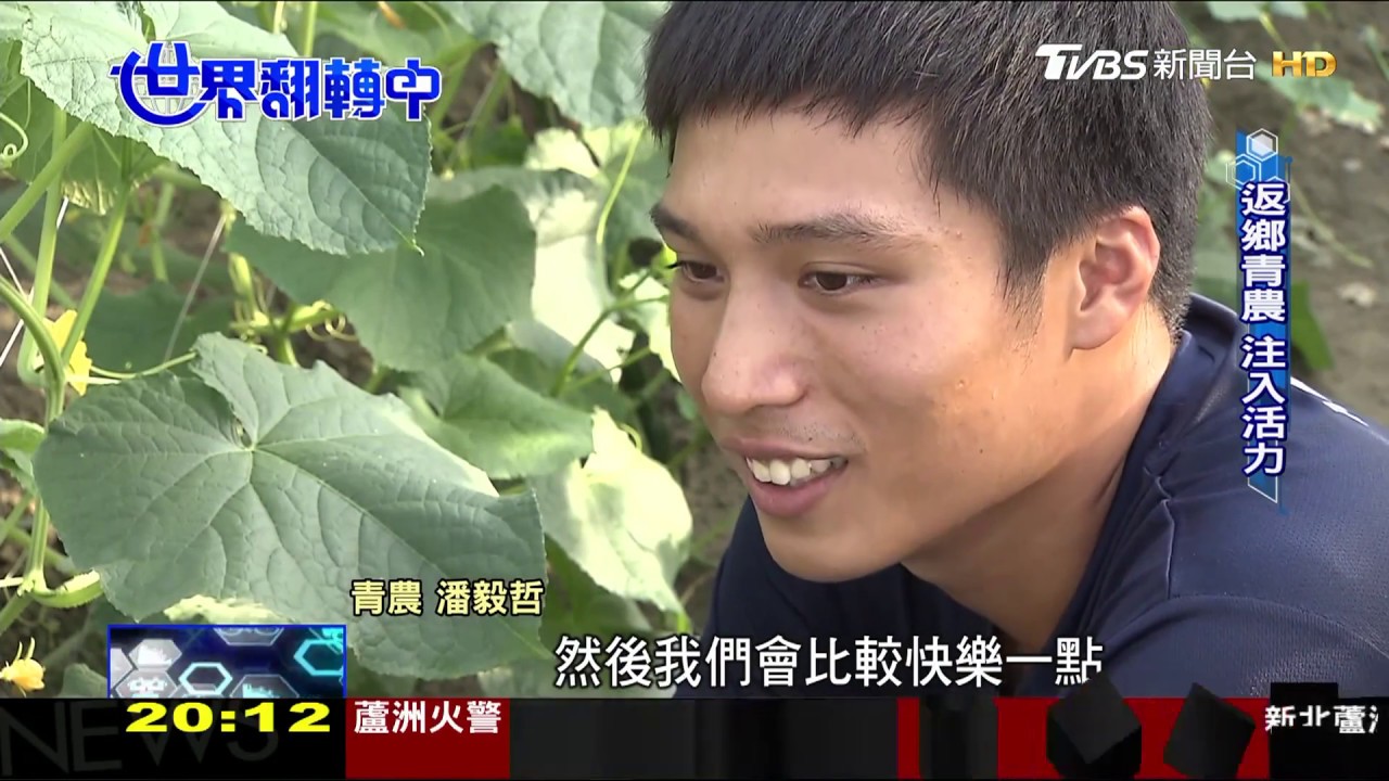 年輕人愛上農田　青農返鄉找尋未來
