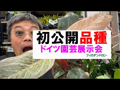 ローゼンヴァルトマイスター 植物