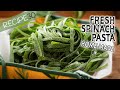 Fresh Spinach Pasta Made From Scratch
