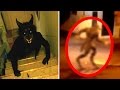 5 Werewolves Caught on Tape 5 Werewolves Caught on Tape