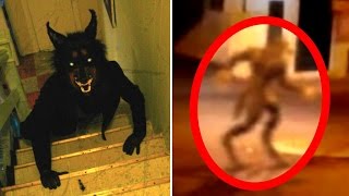 5 Werewolves Caught on Tape