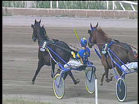 Trotto 12/05/2017 - 4ª corsa