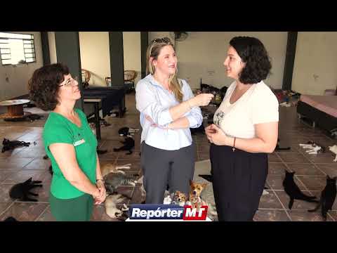 Lunaar aguarda decisão judicial para definir futuro de animais resgatados de canil clandestino