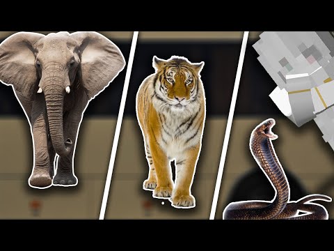 Triffst DU die RICHTIGE Entscheidung?