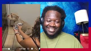 PITBULL DOES NOT WANT TO CLAIM HIS SON