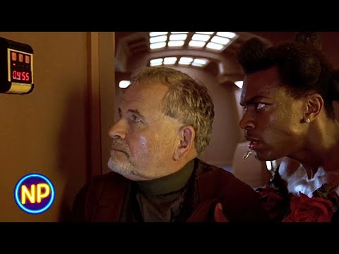 What's This Thing With All the Numbers? | The Fifth Element