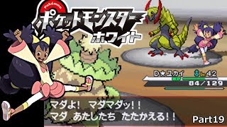 オノノクス ポケットモンスター ビッパ クスネ トロピウス