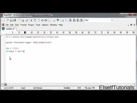 Perl Basics: Variables