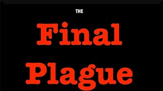 THE FINAL PLAGUE--THE ALIEN INVASION & THE GLOBAL TASTE OF HELL (ROK-28)