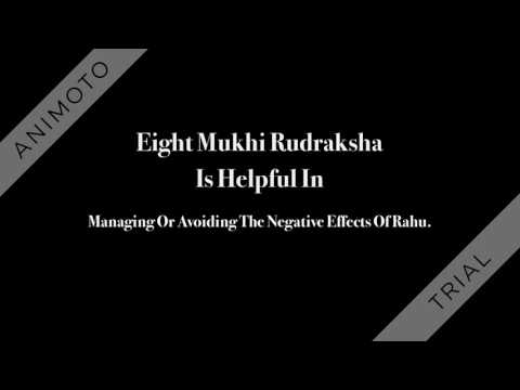 8 Mukhin Rudraksha | 8 मुखी रुद्राक्ष | Original 8 Faced Rudraksha