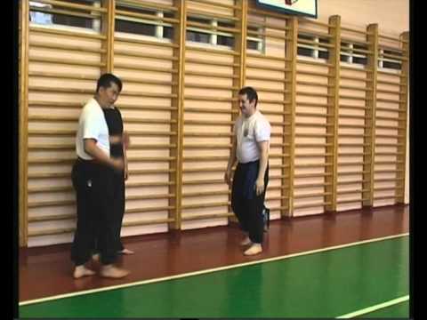 Hong Gia Vietnam. Minsk 2012. Khai Tran.