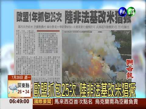 歐盟抓包25次 陸非法基改米猖獗