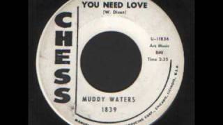 Muddy Waters - you need love.wmv