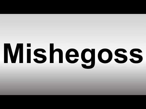 How to Pronounce Mishegoss