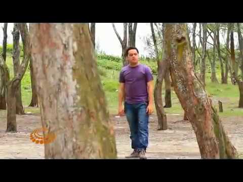 Rafael Araujo  - Filho Prodigo (Clip Oficial)