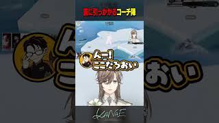 【Party Animals】叶の罠に引っかかるコーチ陣 #にじさんじ #叶 #shorts