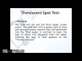 TRANSLUCENT SPOT TEST