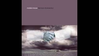 Modest Mouse   Perfect Disguise