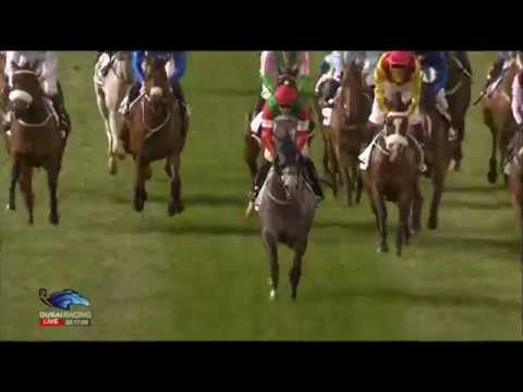 19.02.2015 Meydan (Dubai/UAE) 7.Race District One Turf - Handicap 1.400 m