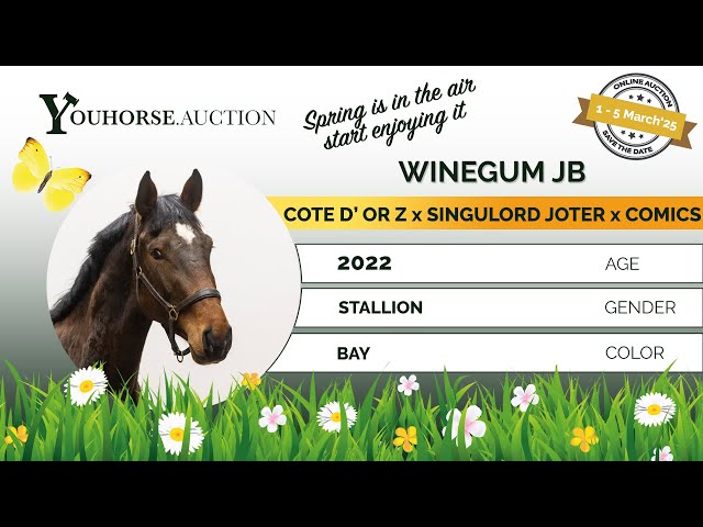 Winegum JB