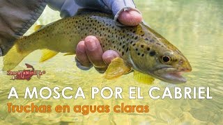 A mosca en el Cabriel