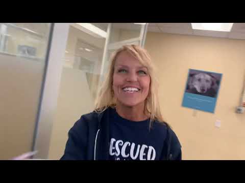 Mspca Nj