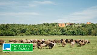  Discussão e votação de propostas legislativas - 29/04/2026 10:30