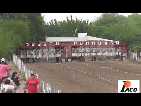CHEMA HIPODROMO EL DESCUIDO EL BRETE 20 11 2022