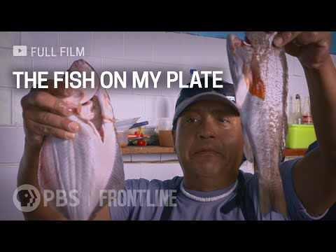 , title : 'The Fish on My Plate (full documentary) | FRONTLINE'