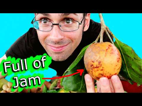 The Wild World Of GARDENIA FRUITS (Blackberry Jam Fruit, Natural Dye, Bush Food & More!)