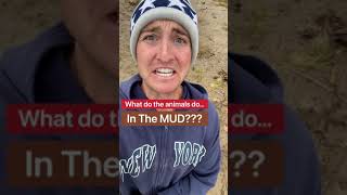 How The Animals Beat The Mud!!! #shorts