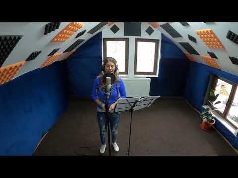 Studio Corneliu Panainte (Suceava) - Georgeta Chitoran (Proces de lucru)