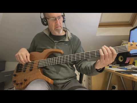 Parker Fly 5 Bass Short Demo