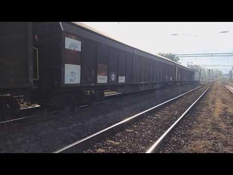 MARFAR CFR CU EA 737 IMPINS DE ED 069