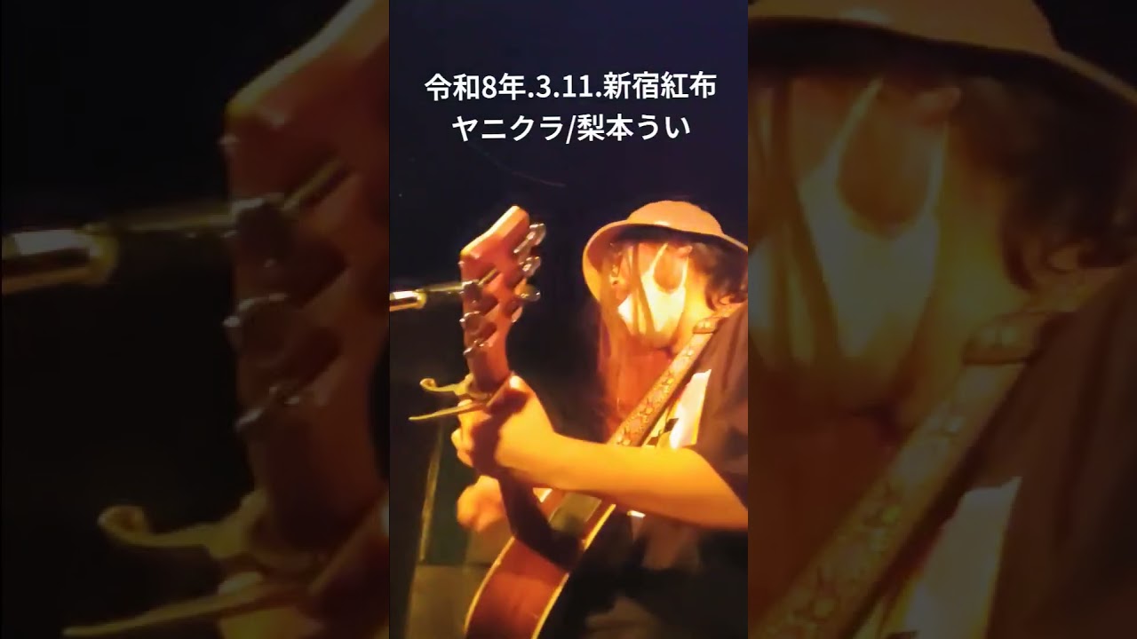 『ヤニクラ』梨本うい 令和8年.3.11.新宿紅布 #弾き語り