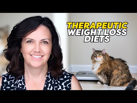 Dr. Lisa Weeth: Managing Pet Obesity