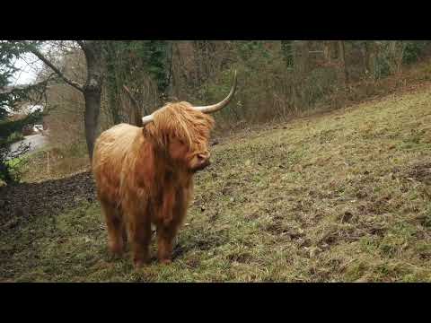 Exploring the World's Biomes