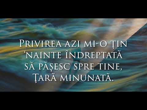 Prin lume trec străin | Andrei Sălăjan | Oastea Domnului 2020